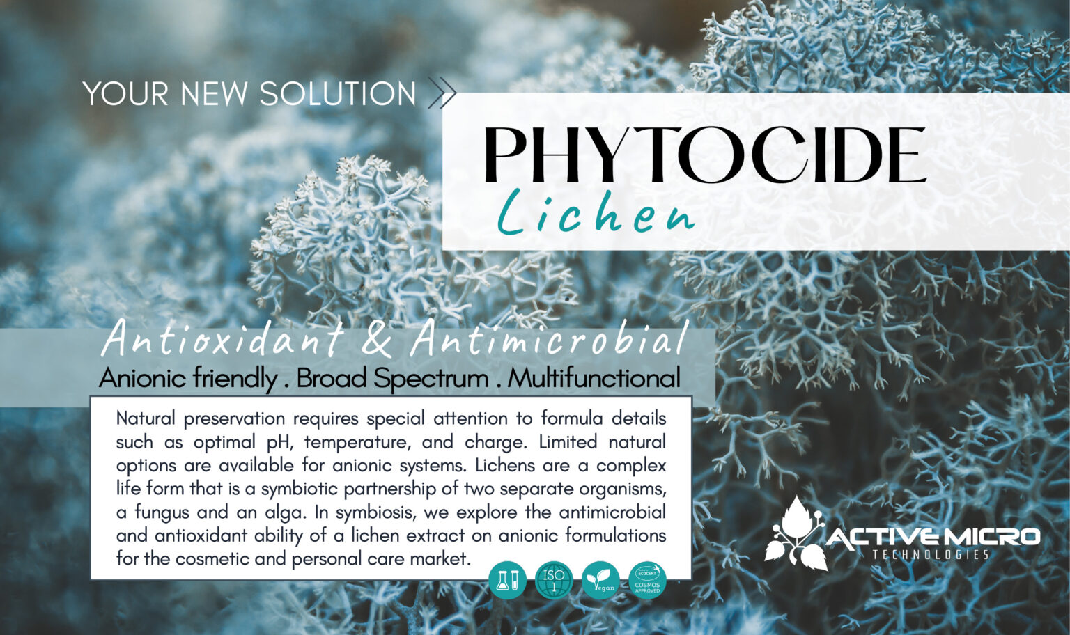 PhytoCide Lichen